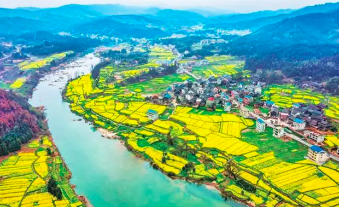 AG���˹���(�й�)�ٷ���վ